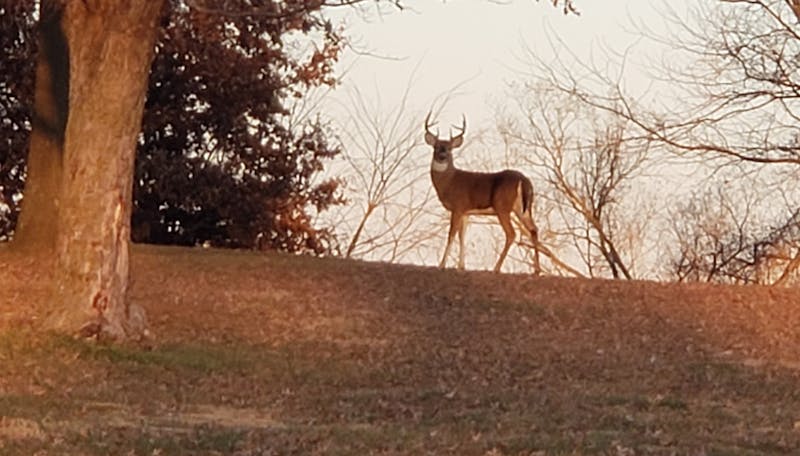 Traditional weaving on a handloom